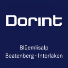 Dorint Blüemlisalp Beatenberg/Interlaken -hotellin logohotel logo