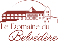 Hôtels & Spa Le Domaine du Belvedere hotel logohotel logo