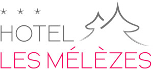 Aux Mélèzes hotel logohotel logo