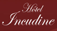 Logo de l'établissement Hôtel Incudinehotel logo