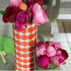 Das Hotel Ostseeblick hotel logohotel logo