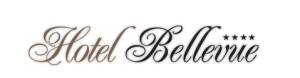 Hotel Bellevue**** hotel logohotel logo
