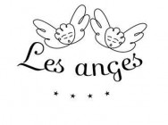 Logo de l'établissement Hôtel & Spa La Baie des Anges ****hotel logo