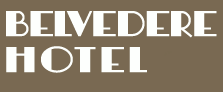 Logo de l'établissement HÔTEL BELVEDEREhotel logo