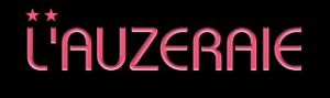 Logo de l'établissement L'Auzeraiehotel logo