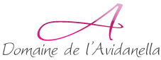logo hotelu Domaine de l'Avidanellahotel logo